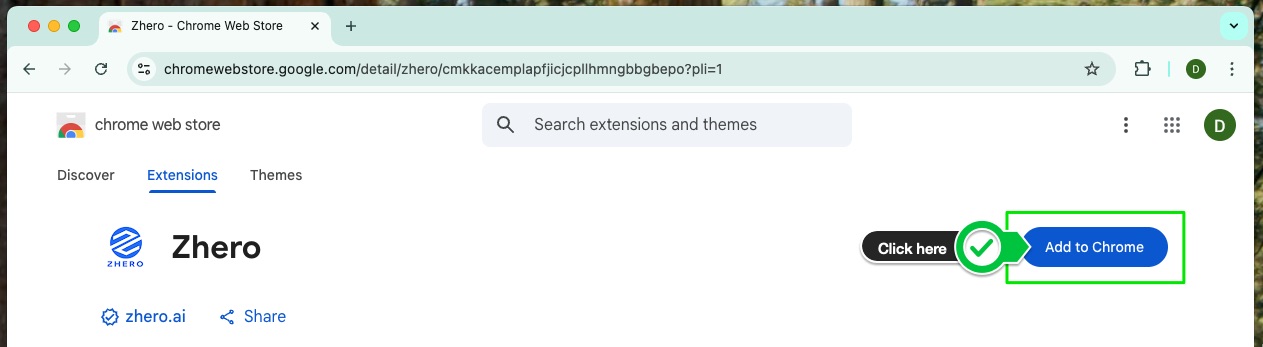 Chrome Web Store Installation Page